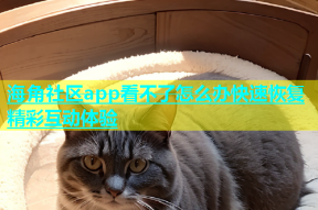 海角社区app看不了怎么办快速恢复精彩互动体验